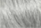 gris/blanco